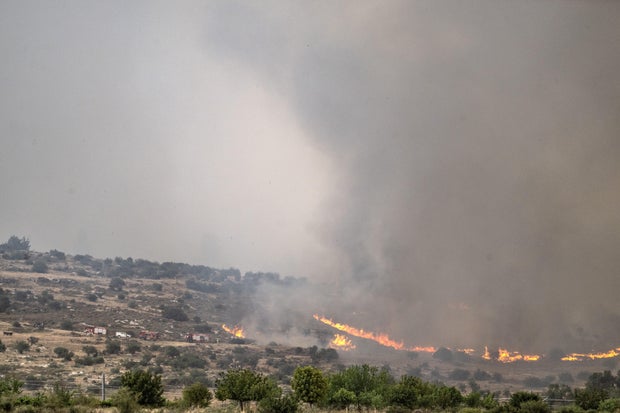 Israel mengevakuasi beberapa kota, menyerukan bantuan internasional untuk memadamkan kebakaran hutan yang disebabkan oleh gelombang panas 