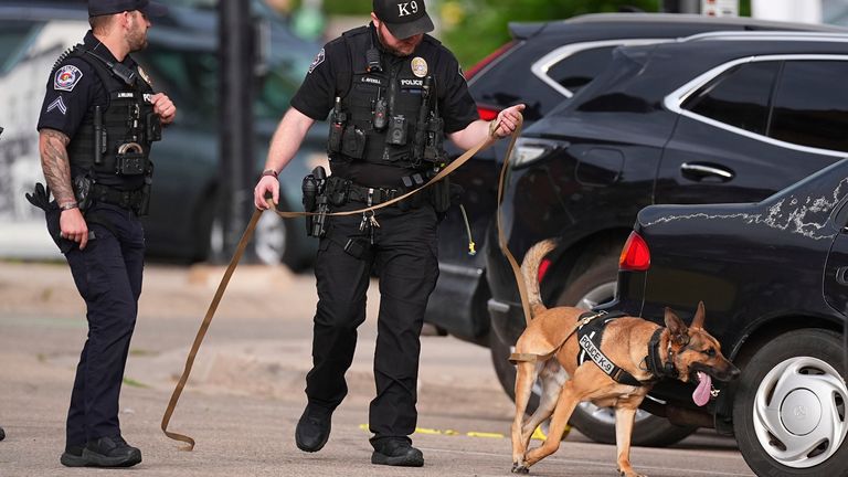 Polisi memimpin anjing pelacak di sekitar mobil. Foto: AP
