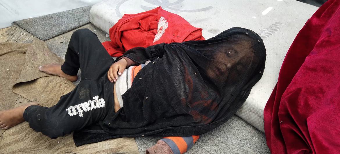 Lalat melayang di atas salah satu anak-anak keluarga Abu Asr yang sedang tidur di tenda mereka di Gaza. Lalat melayang di atas salah satu anak-anak keluarga Abu Asr yang sedang tidur di tenda mereka di Gaza.