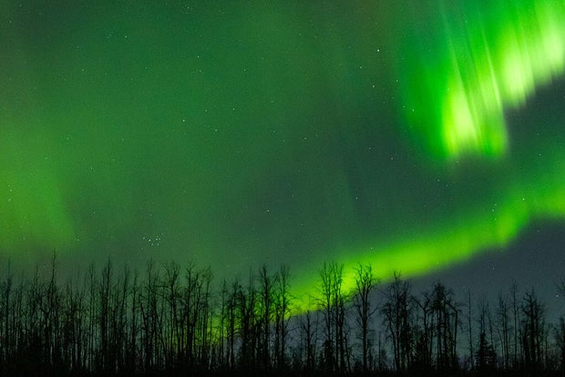 Pertunjukan Cahaya Utara yang Mempesona di Alaska 