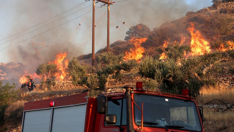 Petugas pemadam kebakaran mencoba memadamkan kebakaran hutan di dekat Lerapetra, di pulau Kreta, Yunani. Foto: Reuters