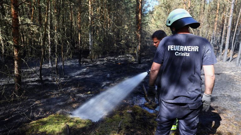 Petugas pemadam kebakaran bekerja untuk memadamkan kebakaran hutan selama gelombang panas, di dekat desa Kleinbahren, Jerman. Foto Reuters