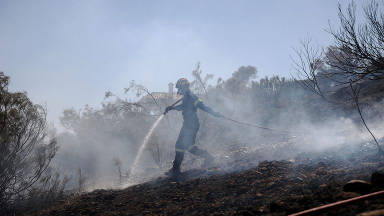 Seorang petugas pemadam kebakaran menggunakan selang untuk mendinginkan area yang terbakar selama kebakaran hutan di kota Koropi, dekat Athena. Foto: Reuters